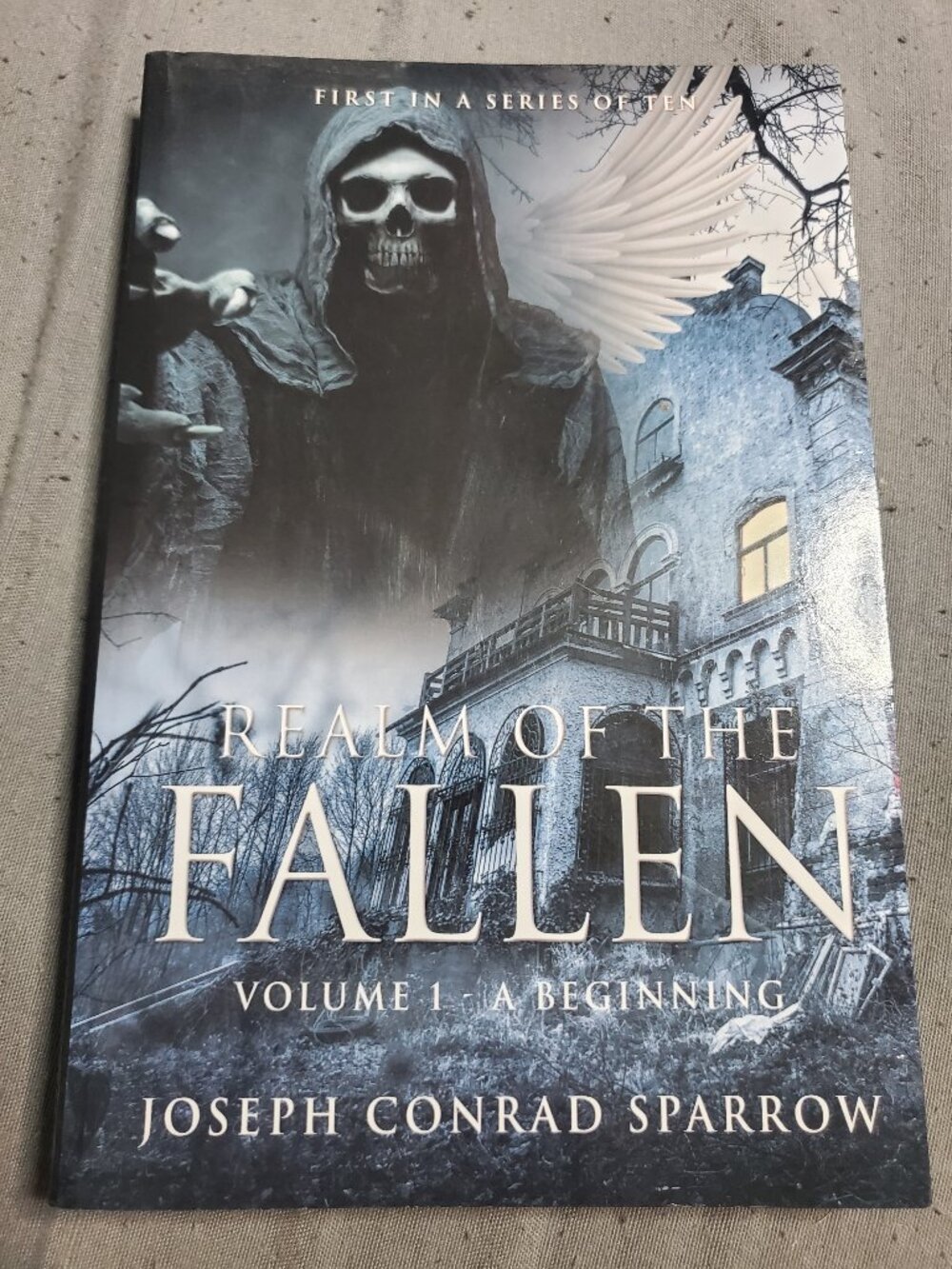 Realm of the Fallen: Volume 1 A Beginning by Joseph Conrad Sparrow Paperback